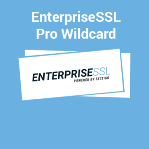 Enterprise SSL Pro Wildcard